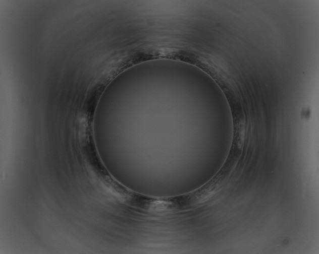 X0000091710222200708241255