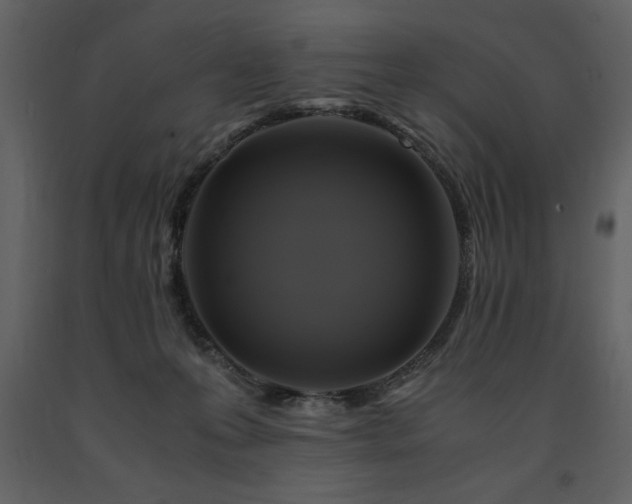 X0000091710223200708241255