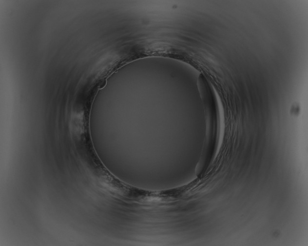 X0000091710224200708241255