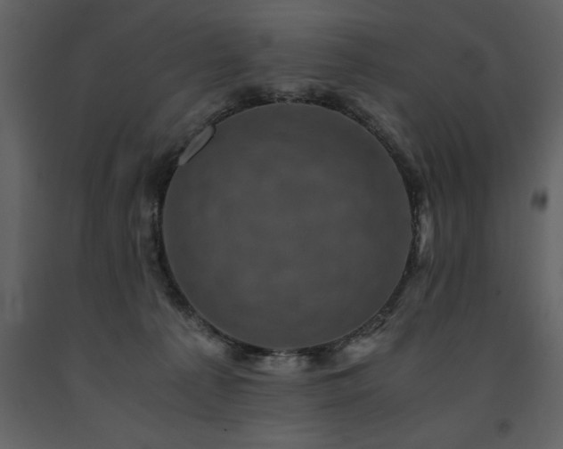 X0000091710225200708241255