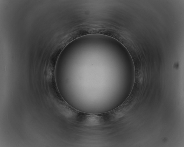 X0000091710226200708241254