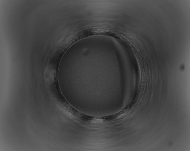 X0000091710227200708241254