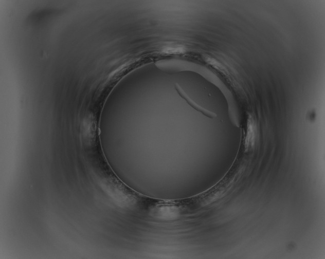 X0000091710228200708241254