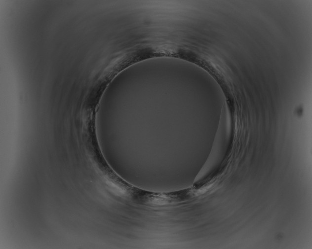 X0000091710229200708241254