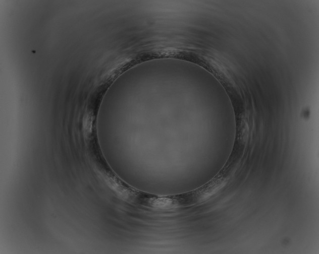 X0000091710230200708241254