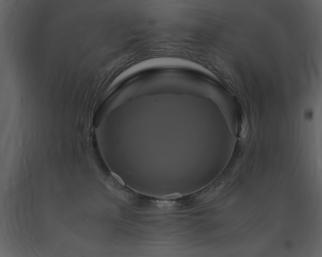 X0000091710233200708241254