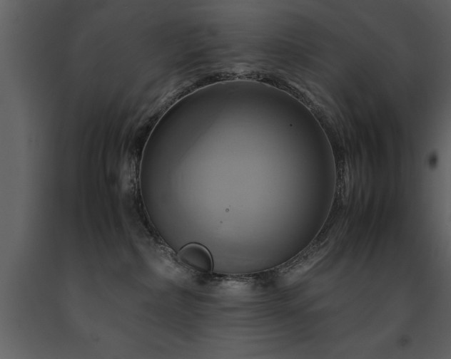 X0000091710236200708241254