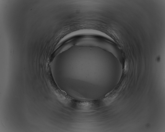 X0000091710237200708241254