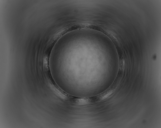 X0000091710238200708241254