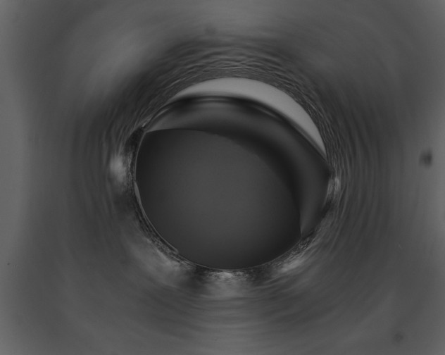 X0000091710239200708241254