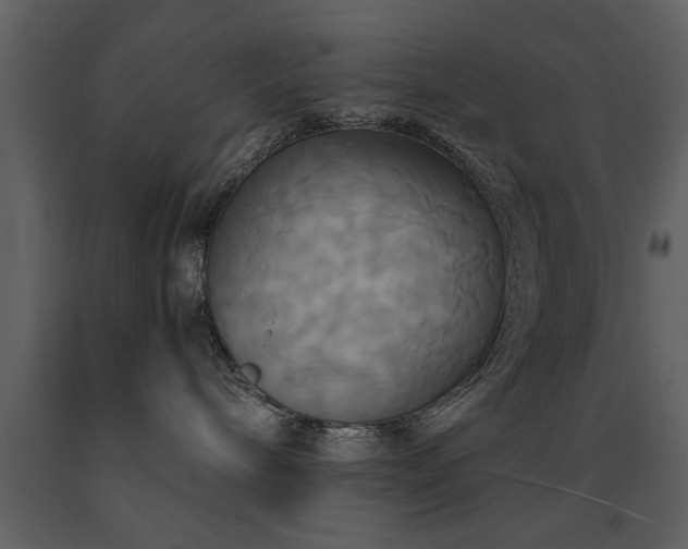 X0000091710240200708241254