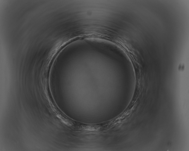 X0000091710241200708241253