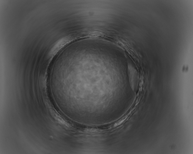 X0000091710242200708241253