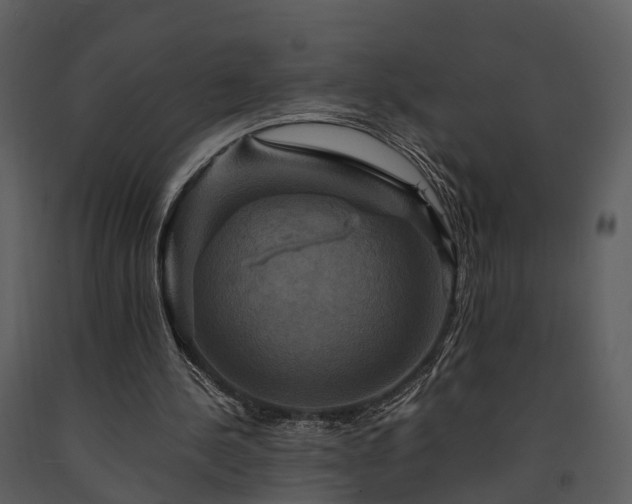 X0000091710244200708241254