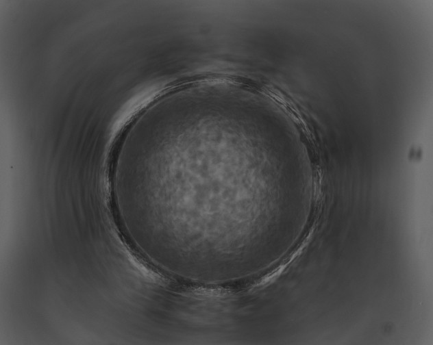 X0000091710245200708241254