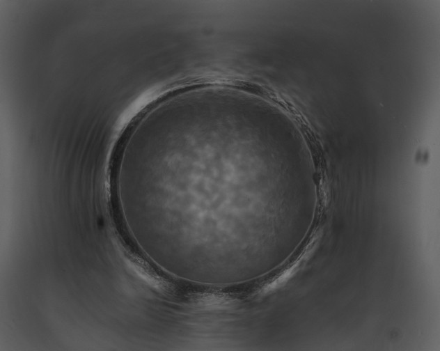 X0000091710246200708241254