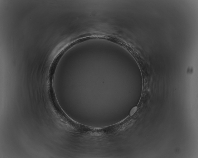 X0000091710247200708241254