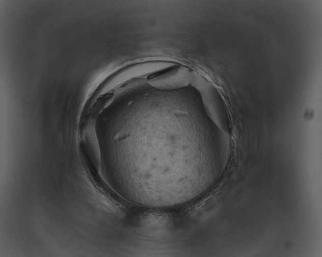 X0000091710248200708241254