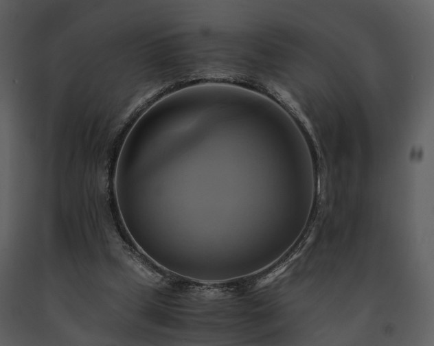 X0000091710249200708241254