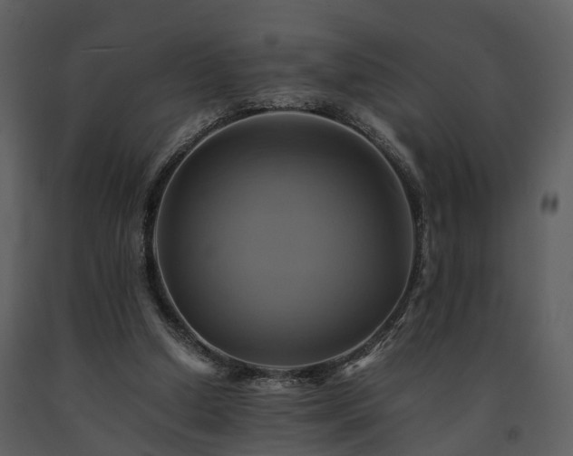 X0000091710250200708241254