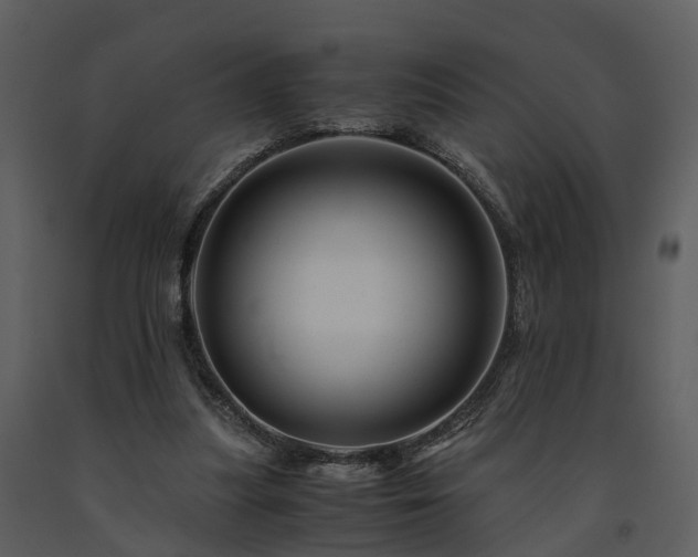 X0000091710251200708241254