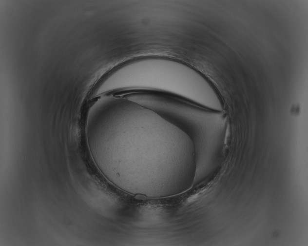 X0000091710252200708241254