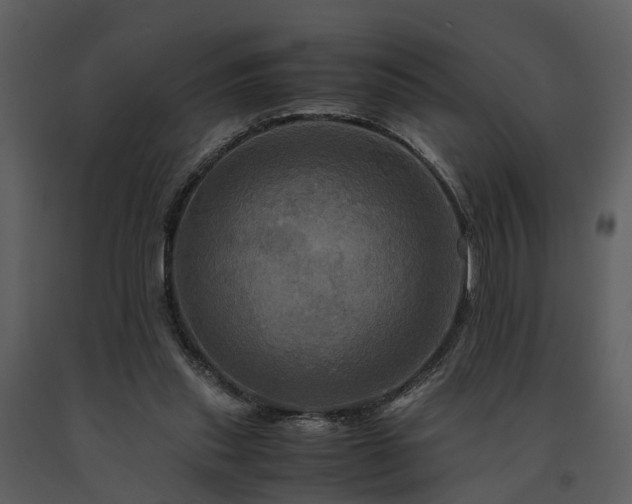 X0000091710253200708241254