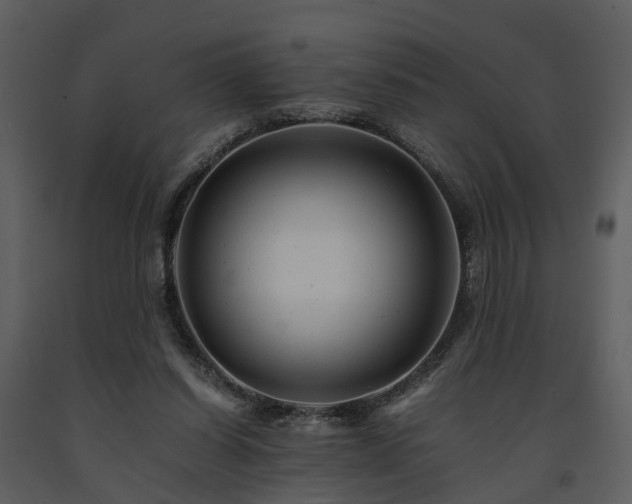 X0000091710254200708241254