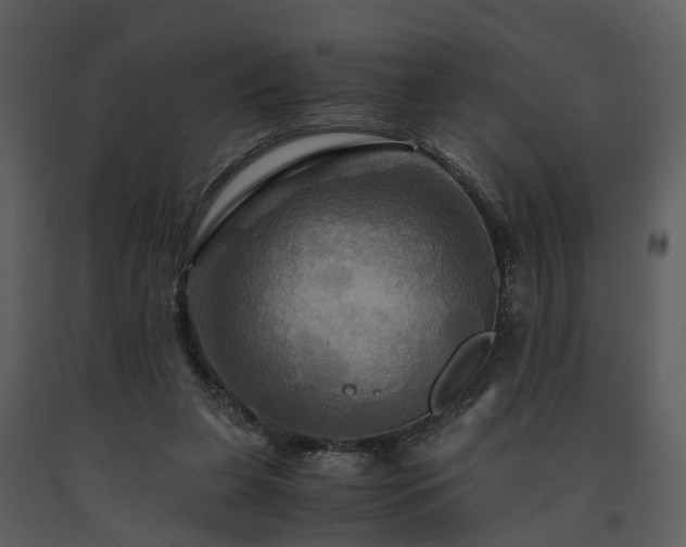 X0000091710255200708241254