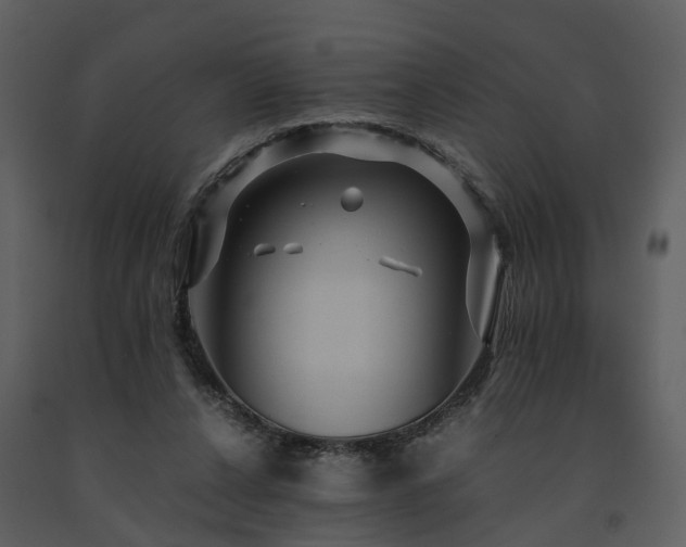 X0000091710256200708241254