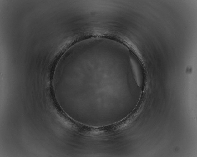 X0000091710257200708241254