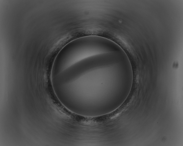 X0000091710258200708241254