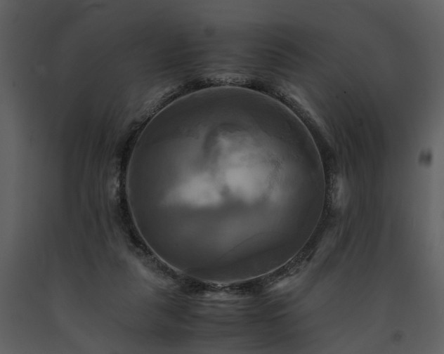 X0000091710259200708241254