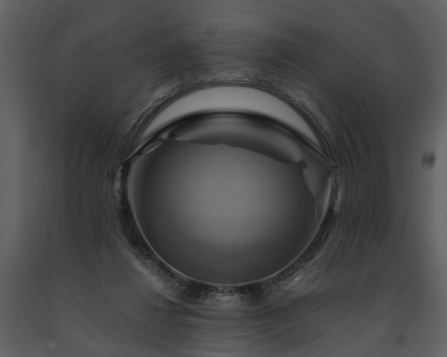 X0000091710260200708241254