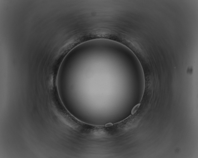 X0000091710262200708241254