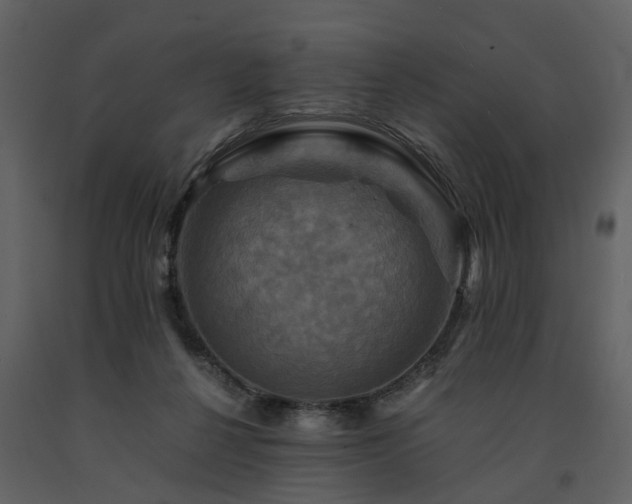 X0000091710264200708241254