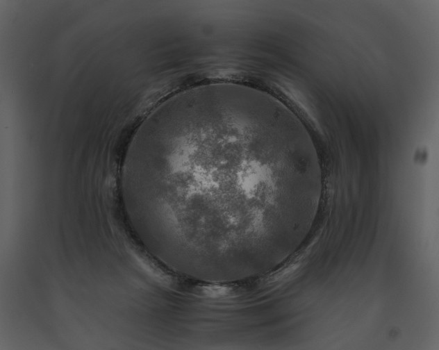 X0000091710265200708241254