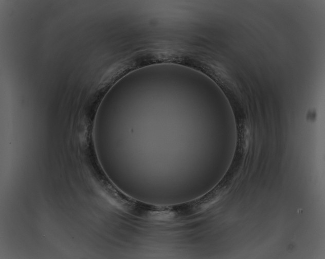 X0000091710266200708241254