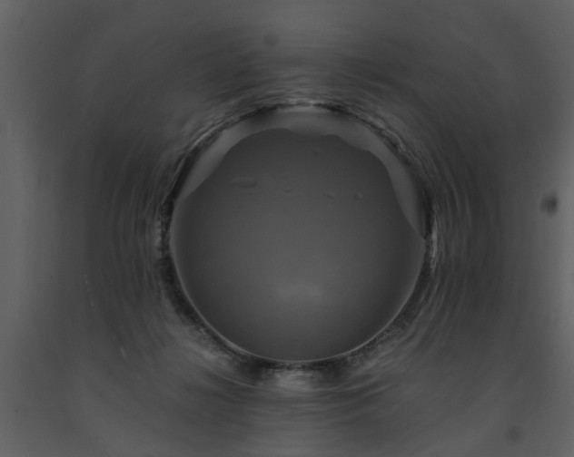 X0000091710268200708241254