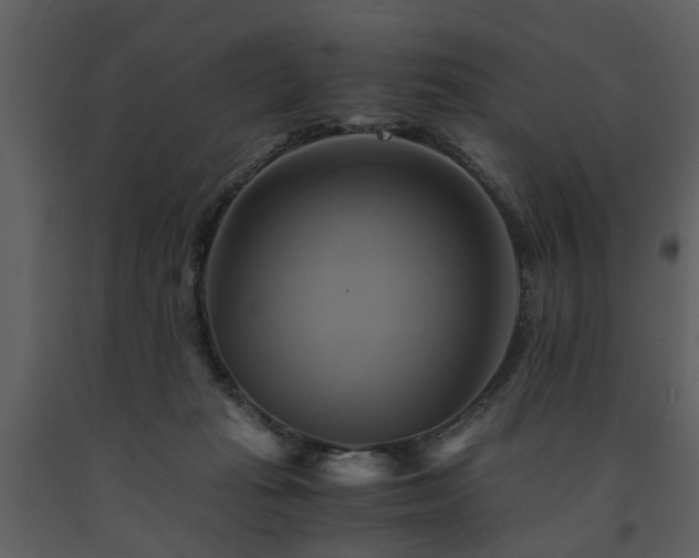 X0000091710269200708241254