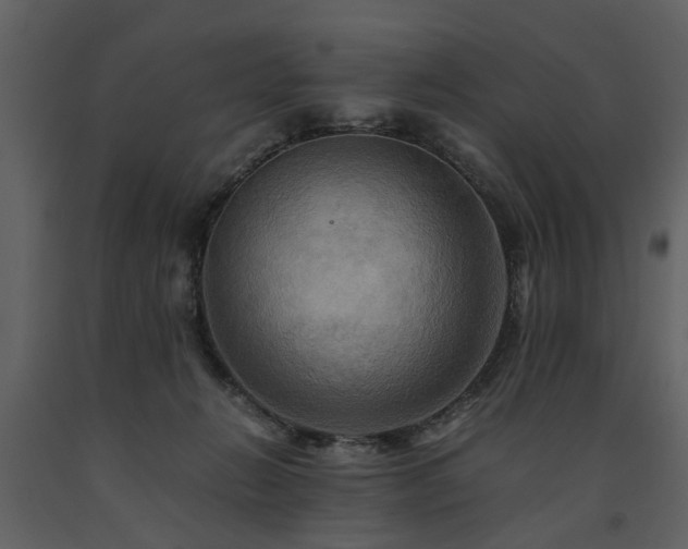 X0000091710270200708241254