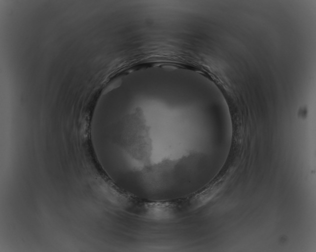 X0000091710273200708241254