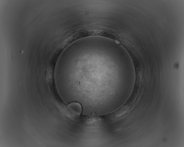 X0000091710274200708241254