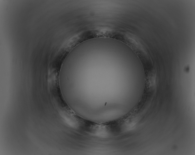 X0000091710276200708241254