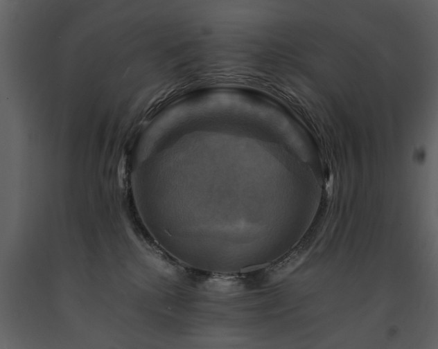 X0000091710280200708241254