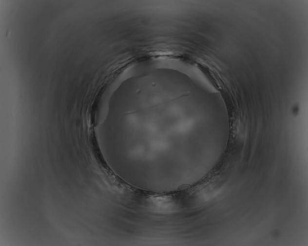 X0000091710283200708241254