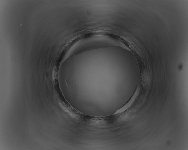 X0000091710284200708241254