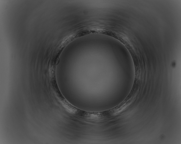 X0000091710285200708241254