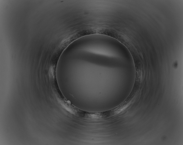 X0000091710286200708241254