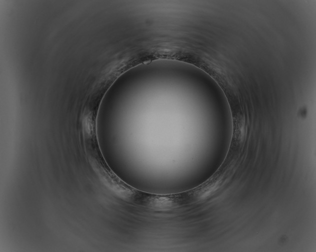 X0000091710287200708241254